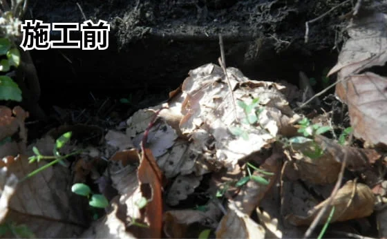 伊丹市道路清掃委託 施工写真 3